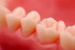 Healthy Gums Healthy Body
